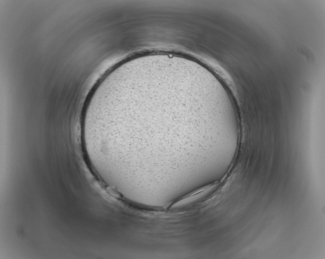 X0000114211287200911061437