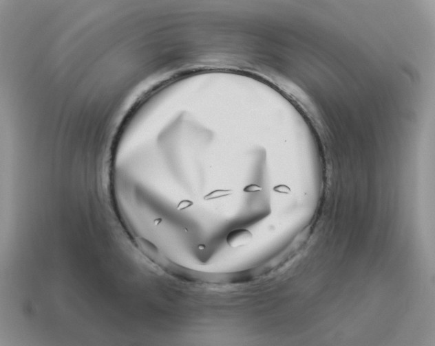 X0000114211288200911061437