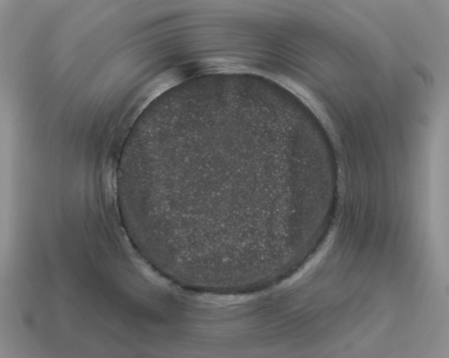 X0000114211289200911061437