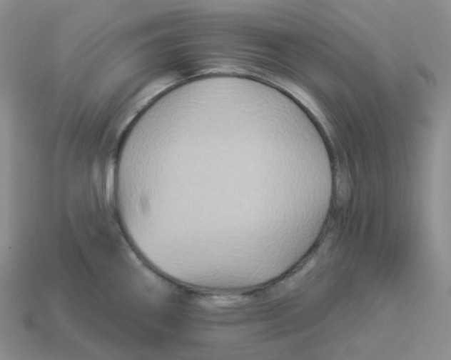 X0000114211290200911061437