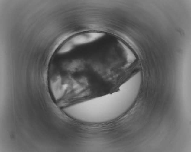 X0000114211291200911061437