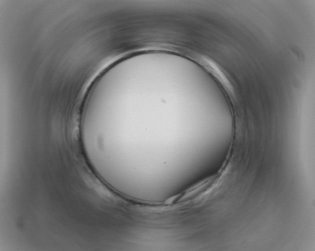 X0000114211292200911061437