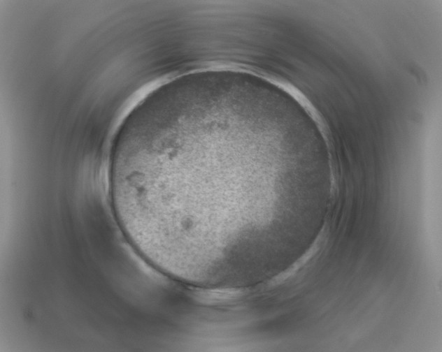 X0000114211294200911061437