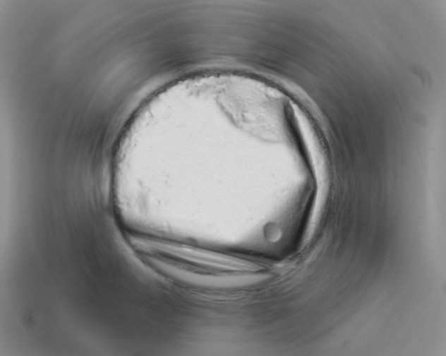 X0000114211295200911061437