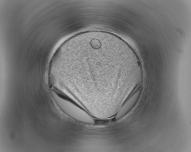 X0000114211296200911061437