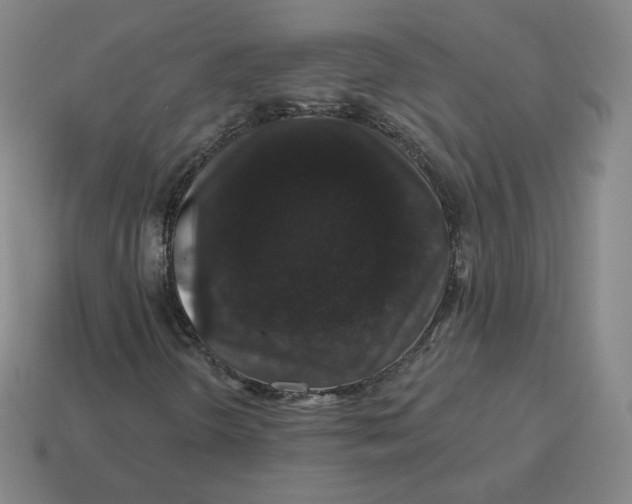 X0000114211298200911061437