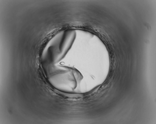 X0000114211301200911061437