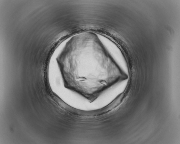 X0000114211305200911061437