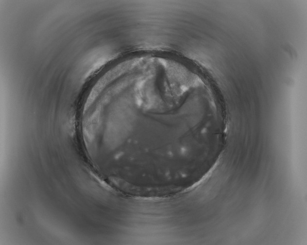 X0000114211306200911061437