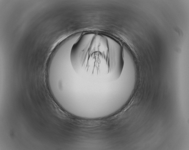 X0000114211308200911061437