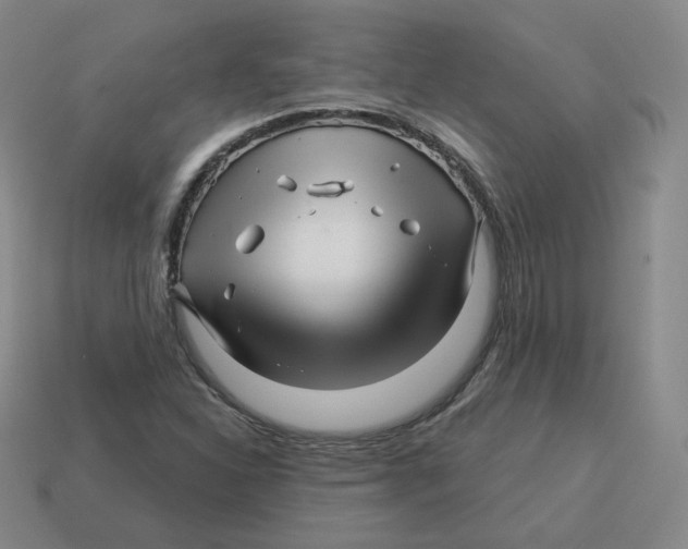 X0000114211310200911061437