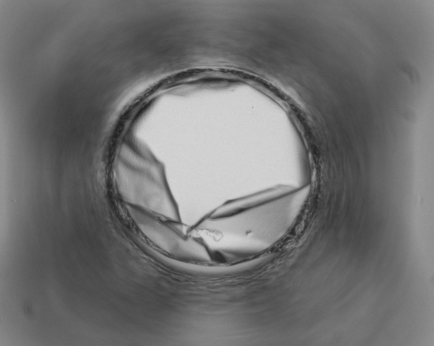 X0000114211311200911061437