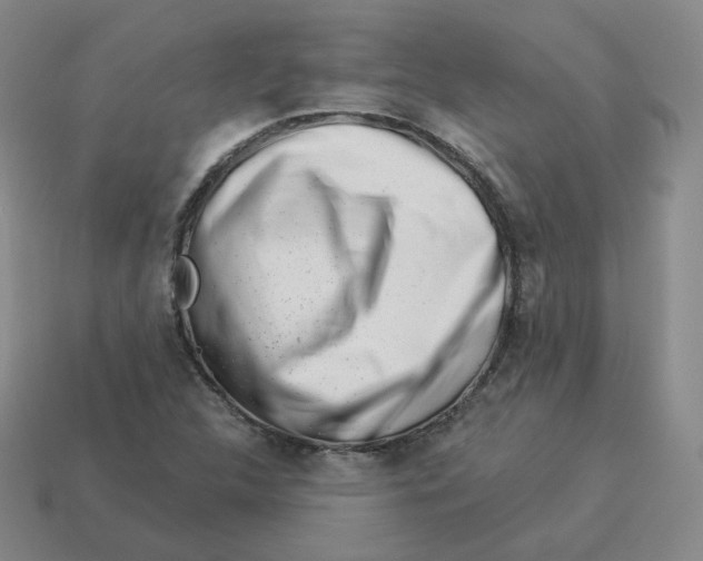 X0000114211312200911061437