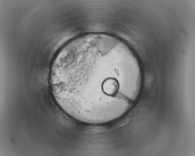 X0000114211314200911061437