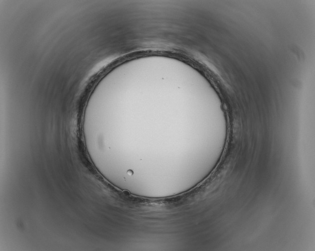 X0000114211315200911061437