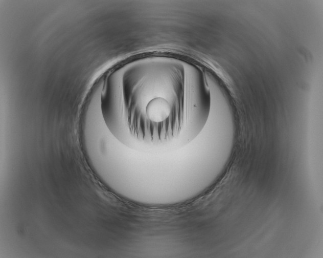 X0000114211316200911061437