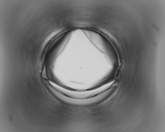 X0000114211317200911061437