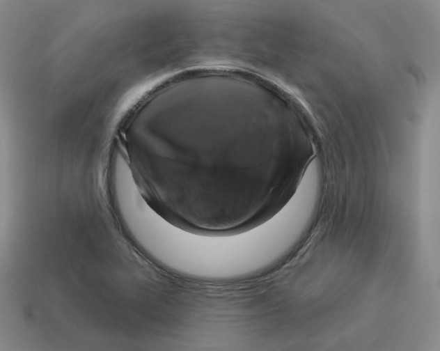 X0000114211319200911061437