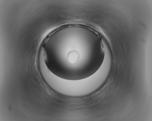 X0000114211320200911061437