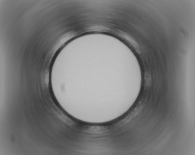 X0000114211322200911061437