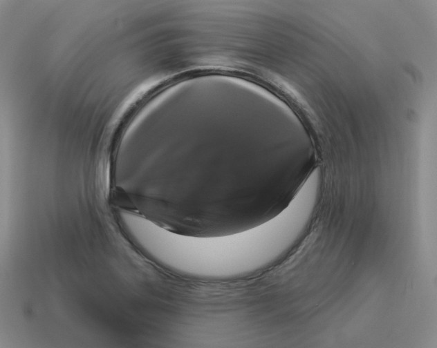 X0000114211323200911061437