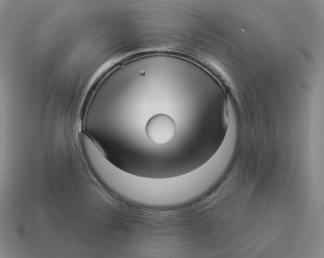 X0000114211324200911061437