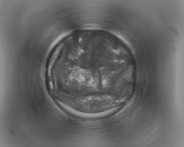 X0000114211325200911061437