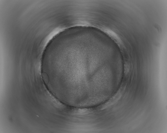 X0000114211326200911061437