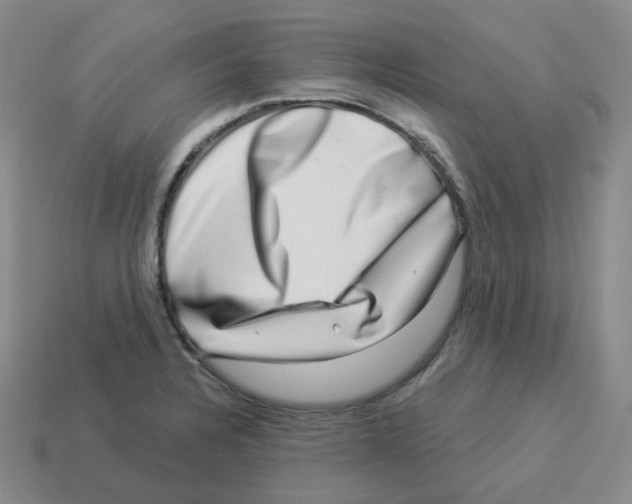 X0000114211328200911061437