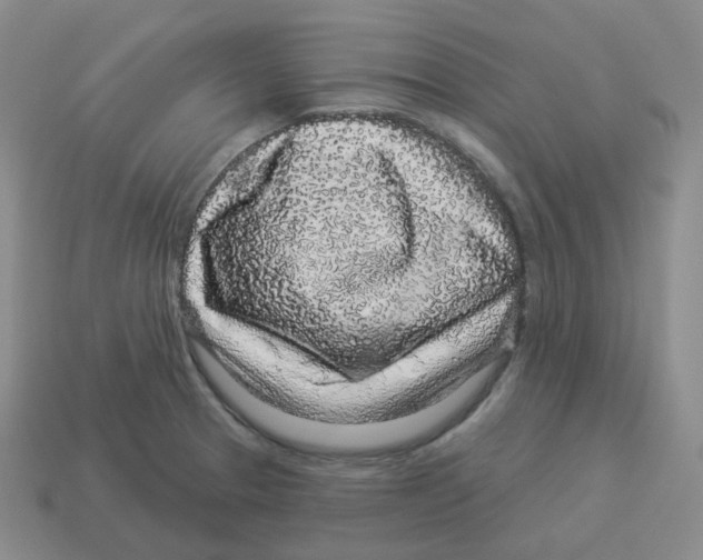 X0000114211329200911061437