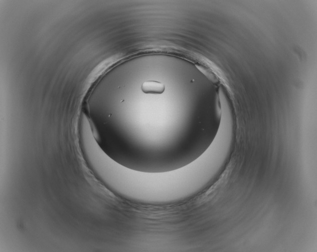 X0000114211330200911061437