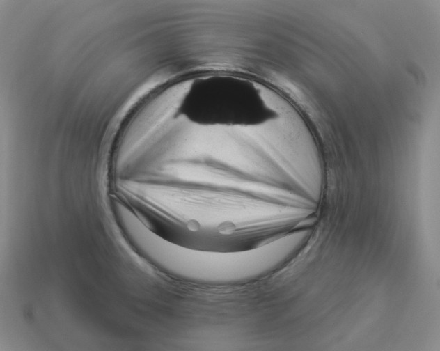 X0000114211331200911061437