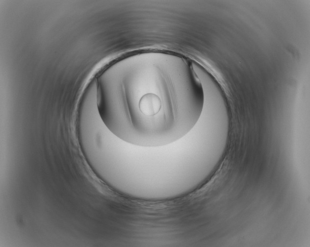 X0000114211332200911061437