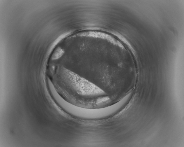 X0000114211333200911061437