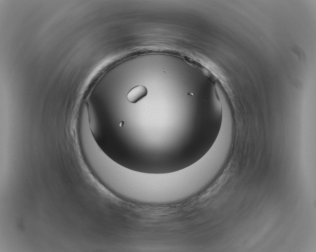 X0000114211334200911061437