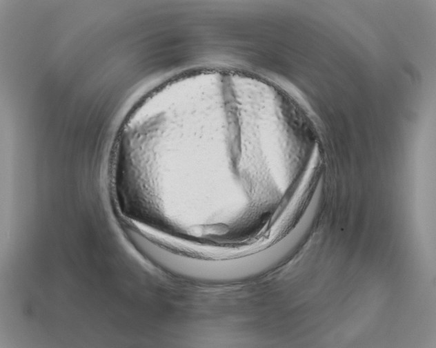 X0000114211335200911061437