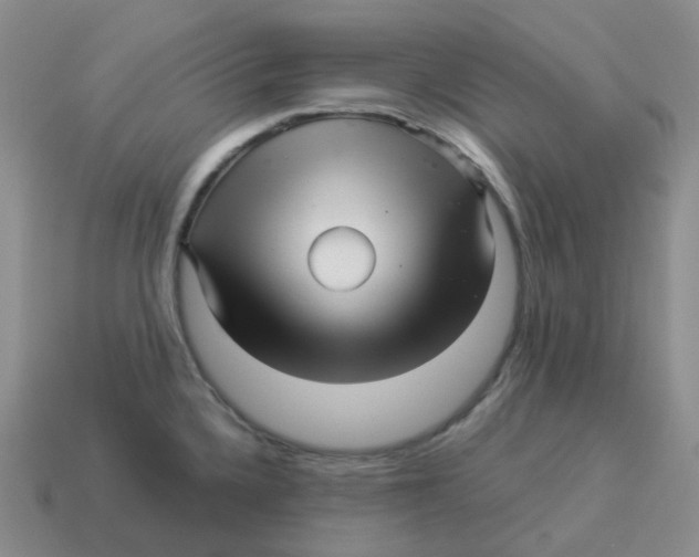 X0000114211336200911061437