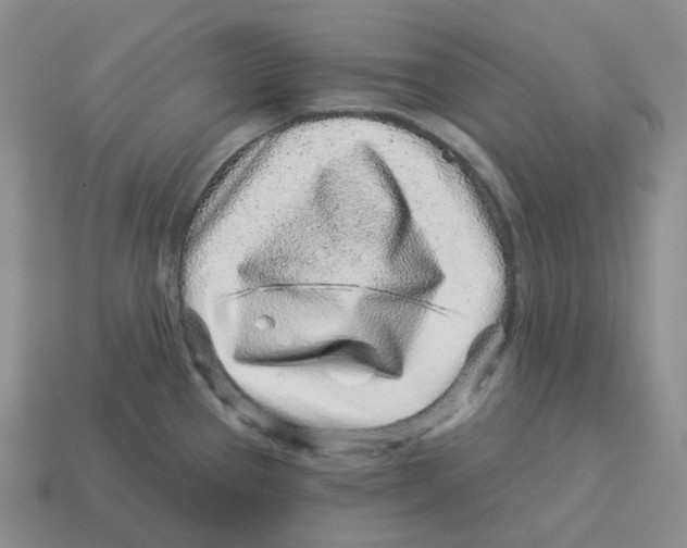 X0000114211337200911061437