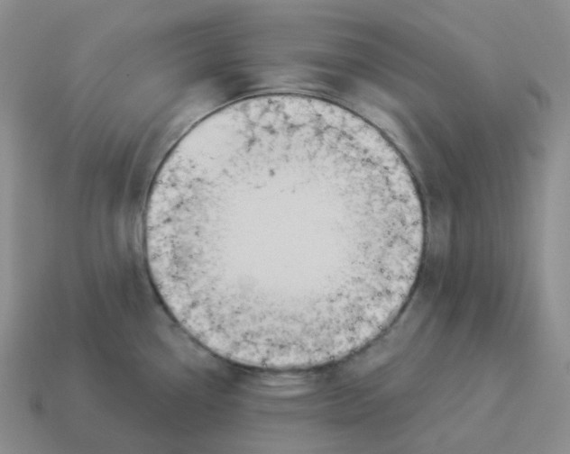 X0000114211338200911061437