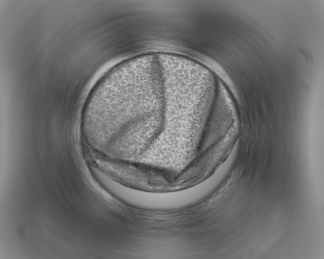 X0000114211339200911061437