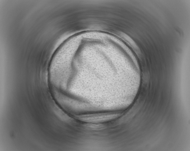 X0000114211340200911061437