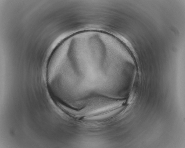 X0000114211342200911061437