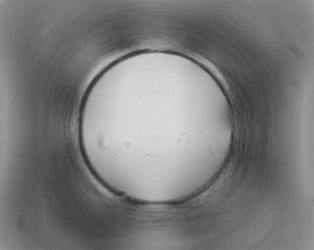 X0000114211343200911061437