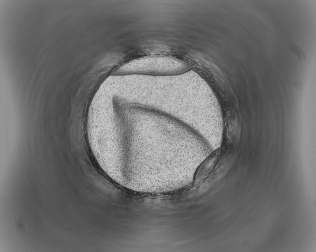 X0000114211345200911061437