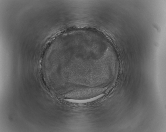 X0000114211349200911061436