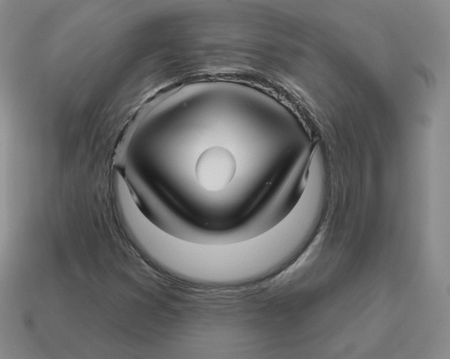 X0000114211353200911061436