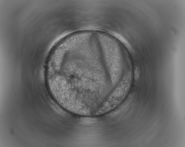 X0000114211356200911061436