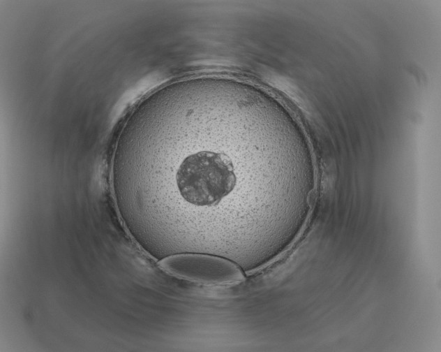 X0000114211357200911061436