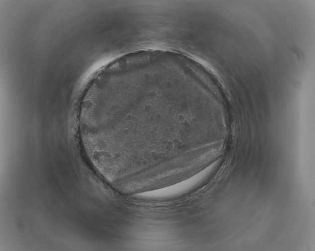 X0000114211359200911061436