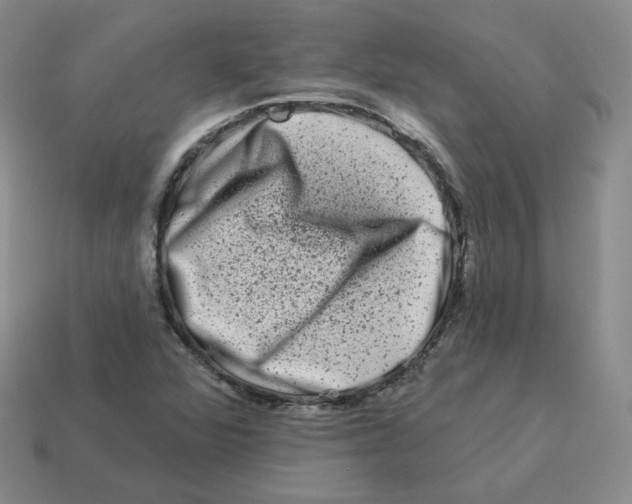 X0000114211360200911061436